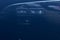 2019 Toyota Prius XLE