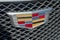 2021 Cadillac Escalade Premium Luxury Platinum